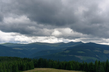 pine trees forest landscape with mountains and gray cloudy sky
