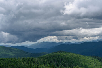 pine trees forest landscape with mountains and gray cloudy sky