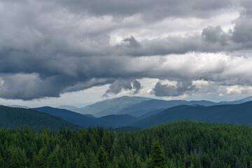 pine trees forest landscape with mountains and gray cloudy sky