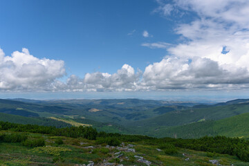 clouds over the mountains green pine forests and vegetation 