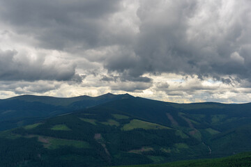 Fototapeta premium pine trees forest landscape with mountains and gray cloudy sky