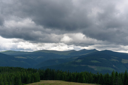 pine trees forest landscape with mountains and gray cloudy sky