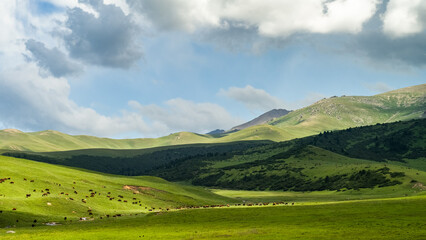 cloudy weather in the mountains