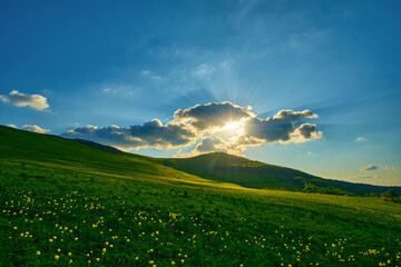A glowing sunset bursts through dramatic clouds over a peaceful green meadow sprinkled with yellow wildflowers Trollius europaeus, casting long rays and soft shadows on the rolling hills 