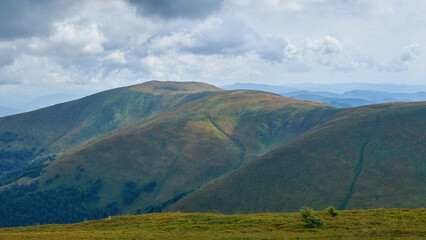 Rolling green mountain ridges stretch into the misty distance under a cloudy sky, with grassy slopes and patches of forest creating a peaceful, summer natural landscape.