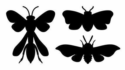 Silhouette depictions of a wasp and two moths with detailed wings and antennae on a white background | editable eps vectors