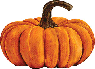 Realistic Watercolor Pumpkin Collection – Whole and Sliced Autumn Vegetable Clipart