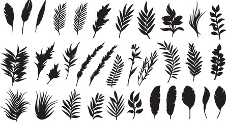 Black and White Silhouette Leaves and Branches Vector Collection