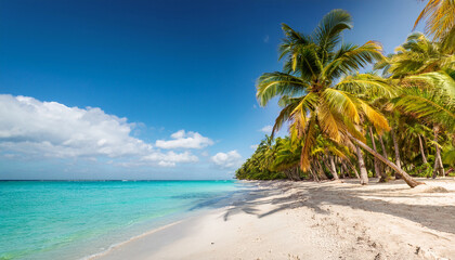 Fototapeta premium Summer Holiday Background