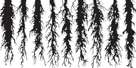 Black and White Root System Silhouette Vector Illustration Design