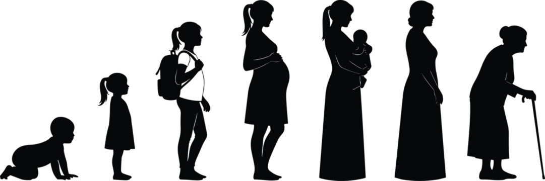 Silhouette of female life stages, growth and aging concept, woman from infancy to old age, vector evolution, generational journey illustration