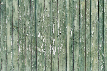 background of old weathered and cracked boards with peeling paint of green color