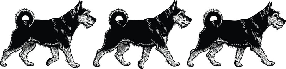 Three identical dogs walking in line, black and white pet vector illustration, detailed canine silhouette, animal art for stock design