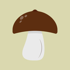 Forest mushroom bolete on a salad background
