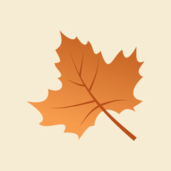 Orange and brown autumn maple leaf illustration