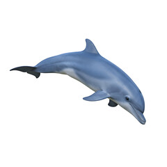 Obraz premium Bottlenose Dolphin, isolated on transparent background