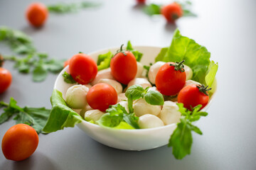 Appetizing serving of mini mozzarella with greens and tomatoes