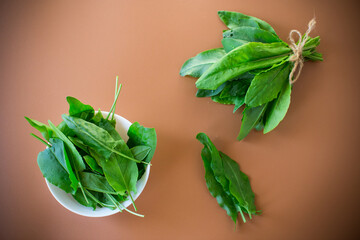 Rustic sorrel with natural texture