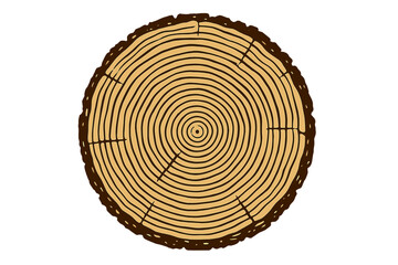 Cross section of tree trunk vector illustration. Annual growth rings on a wooden stump slice. Abstract wood texture or background. Concept of age, time, and forestry.