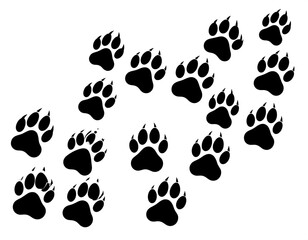 Fototapeta premium Black paw prints on white background