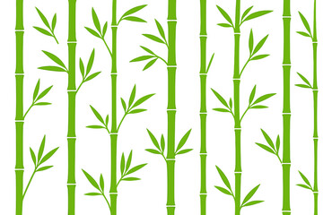 Green bamboo seamless pattern vector illustration. Japanese and Chinese style nature background. Zen garden, spa and wellness concept for textile, fabric or wallpaper print.