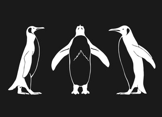 Obraz premium Set of penguin. Hand drawn vector illustration.