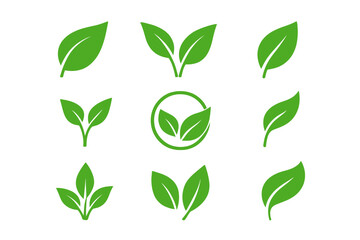 Green leaf icons set. Ecology, environment vector symbol. Natural, organic, bio, vegan product logo element. Plant, sprout, growth concept. Eco friendly sign isolated.