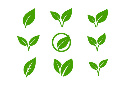 Leaf icons set. Green leaves vector collection. Ecology, environment, and nature symbol. Bio, organic, and vegan sign. Plant sprout logo element for eco friendly products.