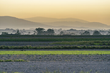 sielski krajobraz z wieczornym letnim niebem