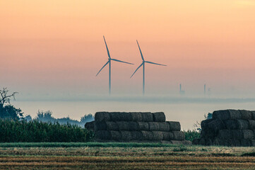 wiatraki energii odnawialnej na polu o wschodzie słońca © Henryk Niestrój