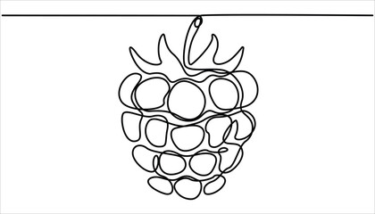 Raspberry one line drawing. Continuous outline of Raspberry fruit. Vector illustration healthy food concept, One continuous line drawing of raspberry with lettering. Raspberry berry fruit. 