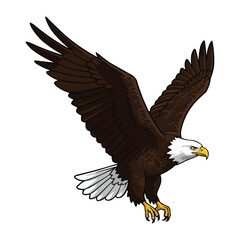 Fototapeta premium Majestic Bald Eagle in Flight