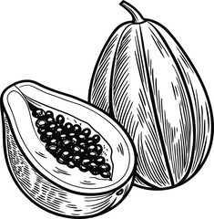 Papaya fruit cut in half and whole, hand-drawn illustration.