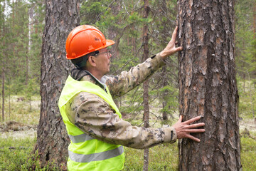 A forest engineer conducts tree research in the forest.