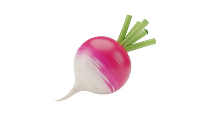 Radish Fresh Root Vegetable for Cooking