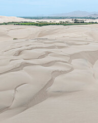 Desert Oasis in Peru