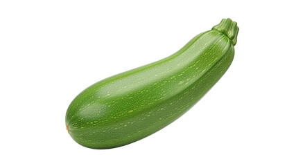 Zucchini Vegetable for Cooking and Nutrition