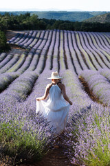 Woman in a flowing white dress walks through vibrant lavender fields, surrounded by rows of purple flowers, enjoying the serene beauty of nature and the outdoors