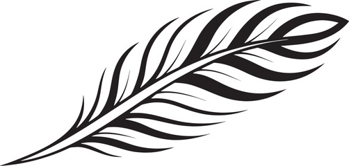 Obraz premium Elegant black feather calligraphy white