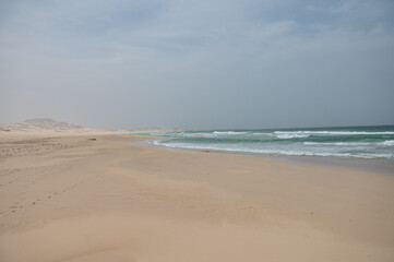 sand dunes at the beach 