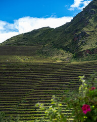 Natural farming in Peru