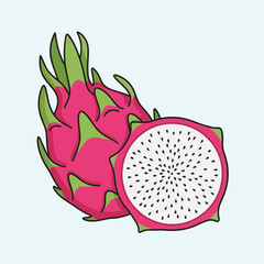 dragon fruit vector illustration