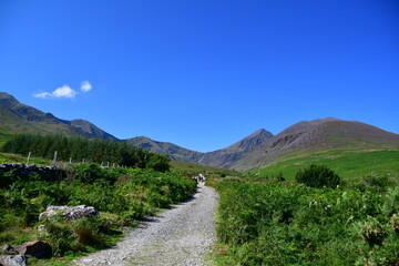 Trail path in the mountains, MacGillycuddy's Reeks, Carrauntoohil, Carrauntoohill, Carrantuohill...