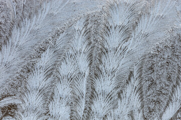 Close-up of a frost pattern on a window on a frigid winter day, Michigan, USA