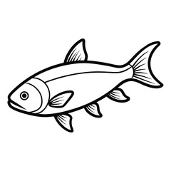 Stylized outline drawing of a fish on a white background
