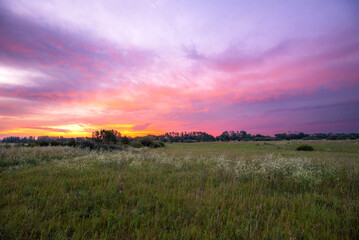 Sunrise over the summer meadow