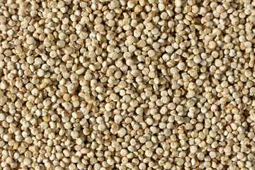 Macro Top View of Uncooked White Quinoa. Healthy Grain Background.