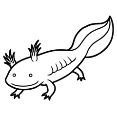 Axolotl line art vector