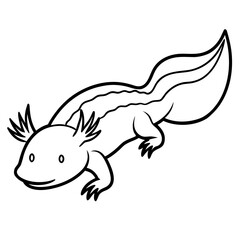 Fototapeta premium Axolotl line art vector