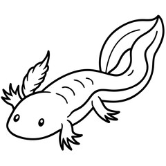 Axolotl line art vector